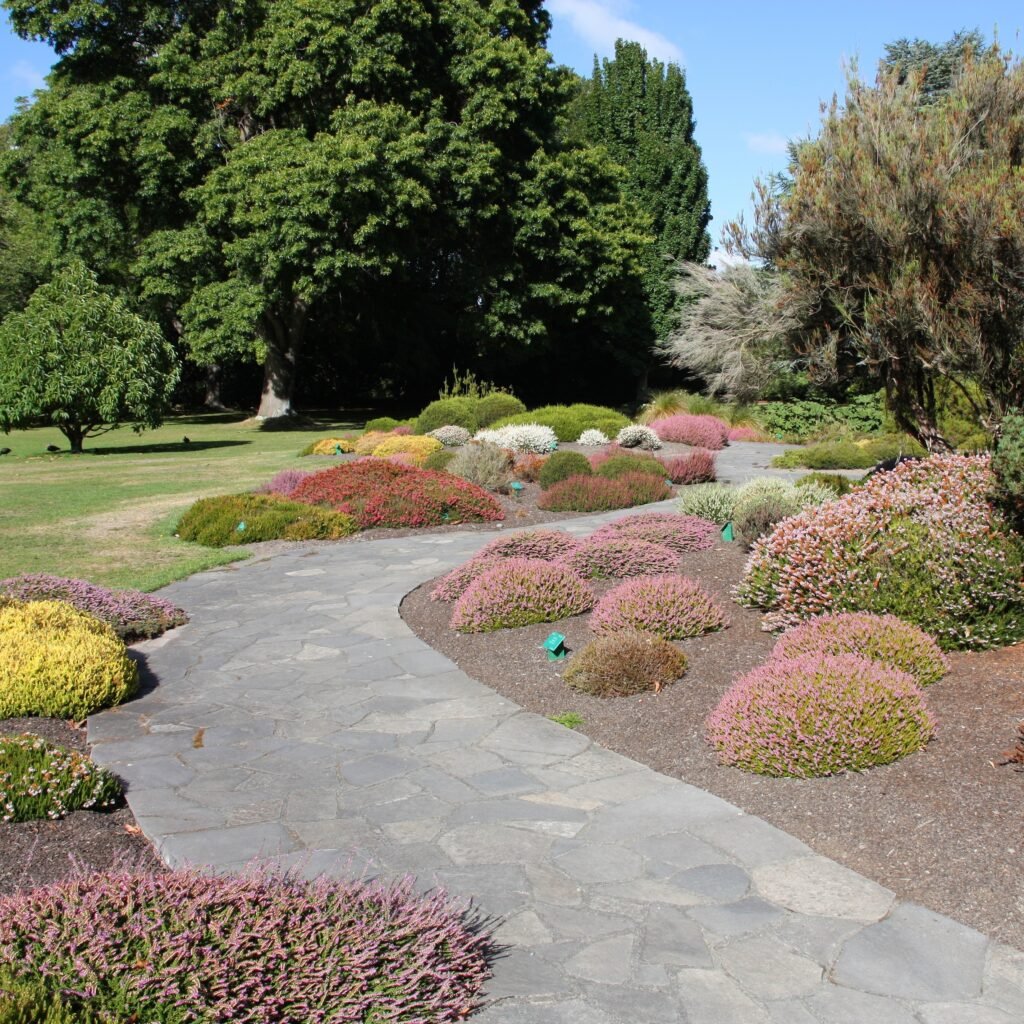 Landscaping Project # 03