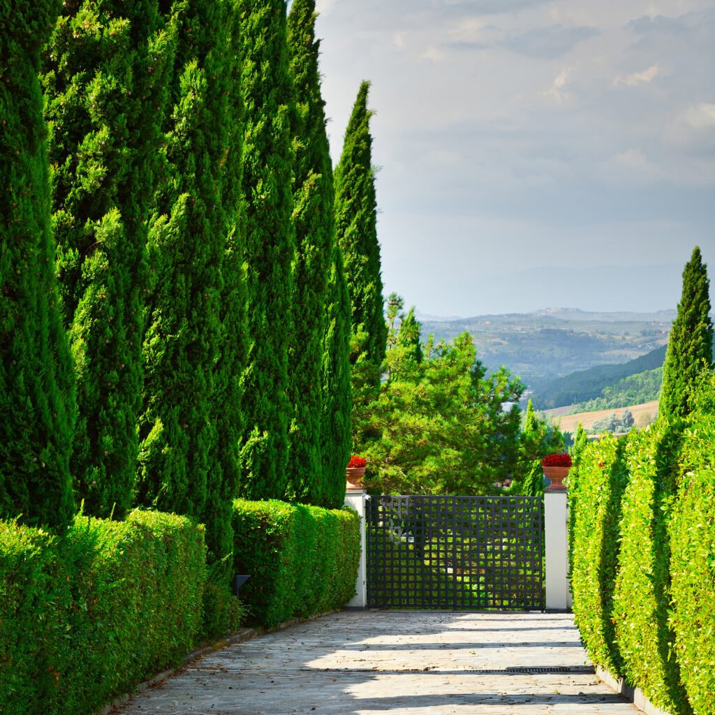 Landscaping Project # 01