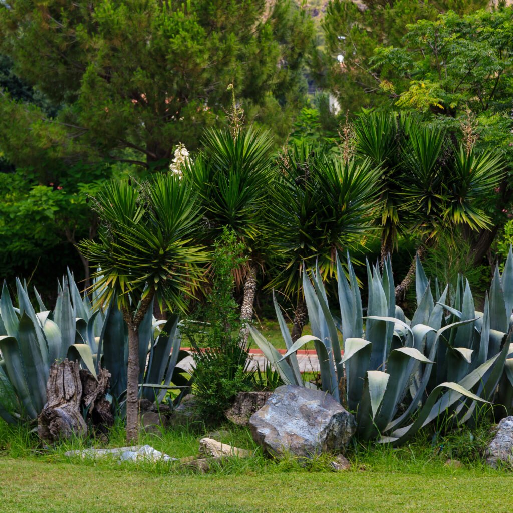 Landscaping Project # 05